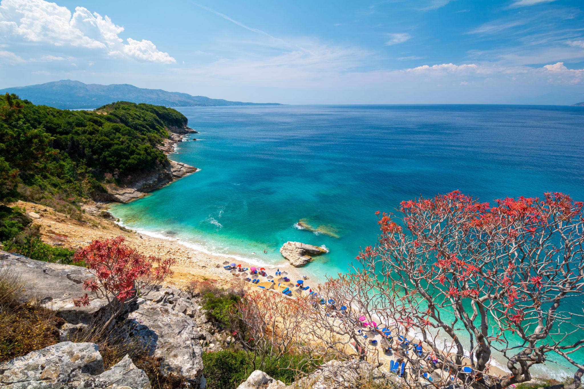 Seagull Beach